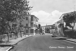 Casinina '60 (M.G.) 2